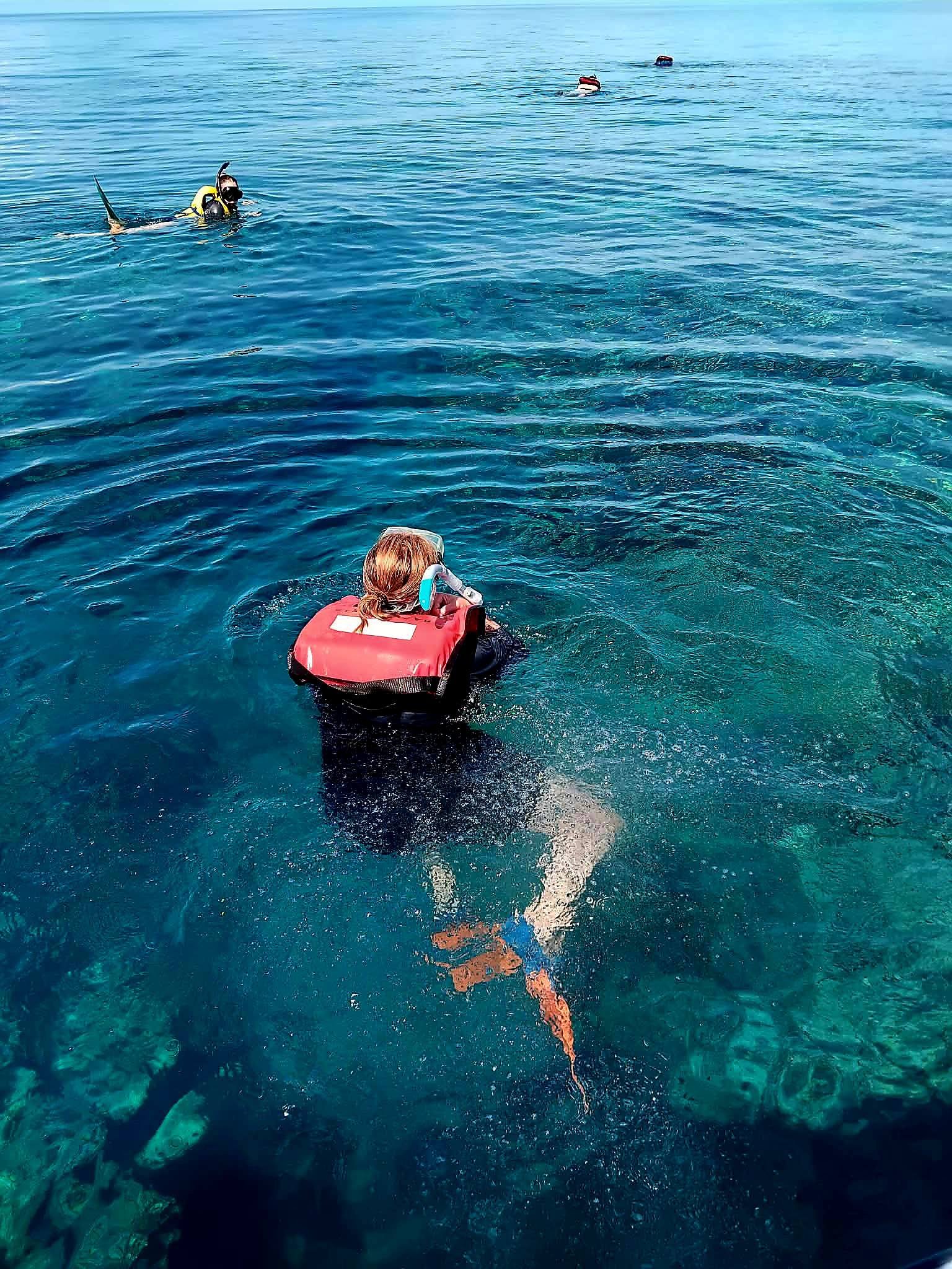 623408067_848082911600278_7844572309255306284_n