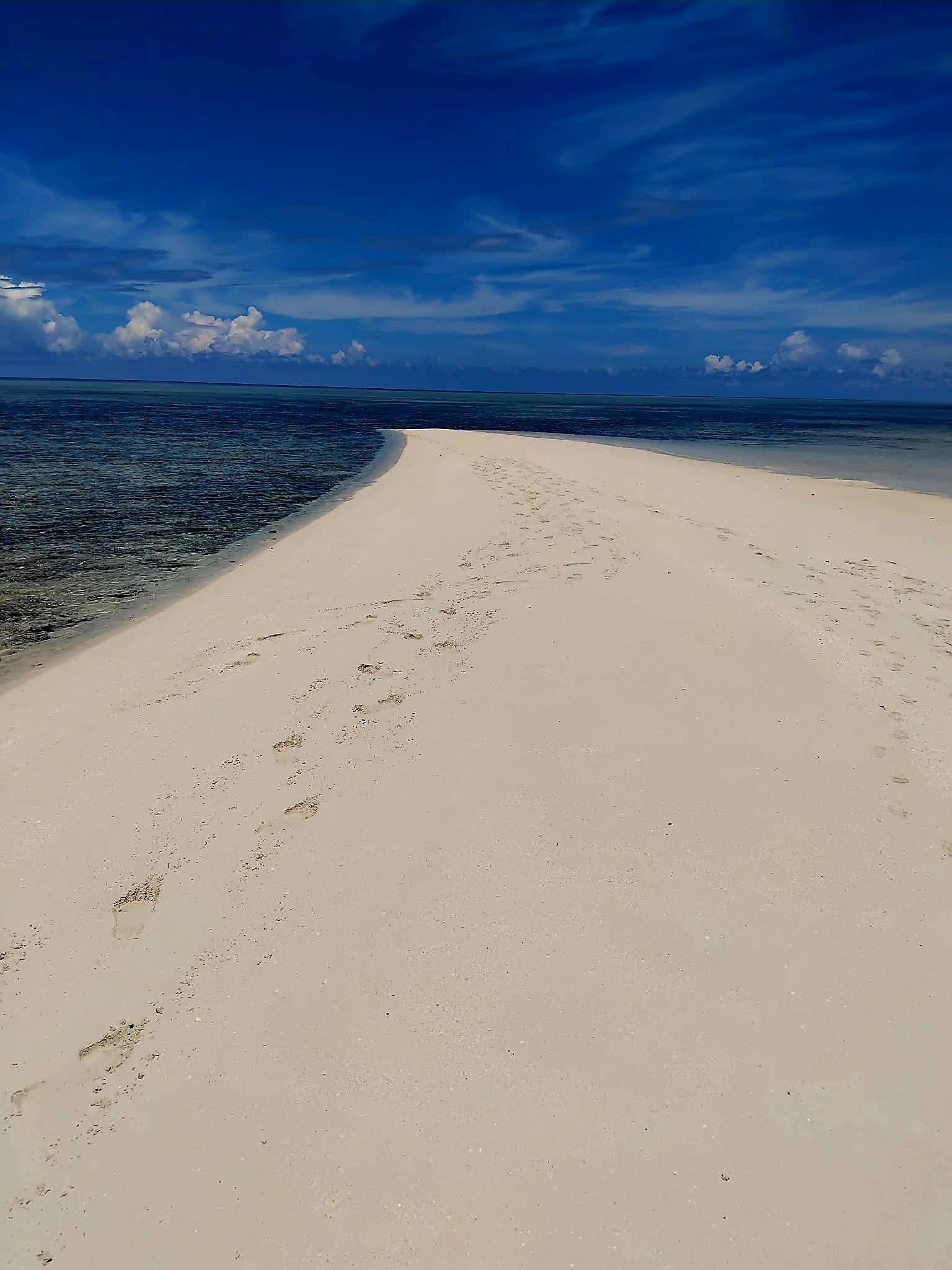 623422007_848082834933619_6701451020301314035_n